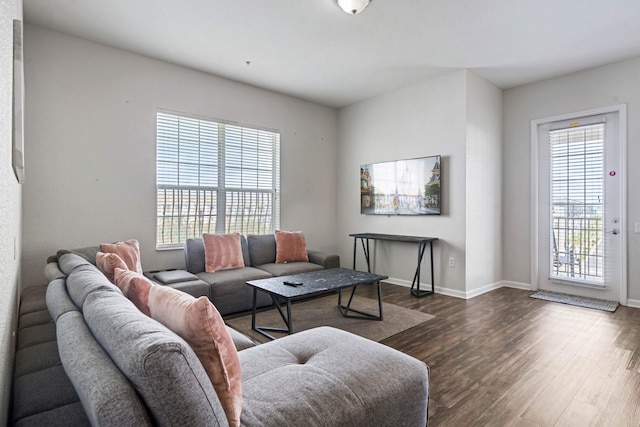 4816 ケイビュー アベニュー #407