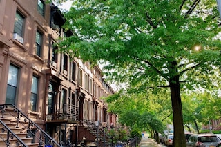 イージー アクセス トゥ ザ ベスト オブ ブルックリン 2 ペッツ オーケー