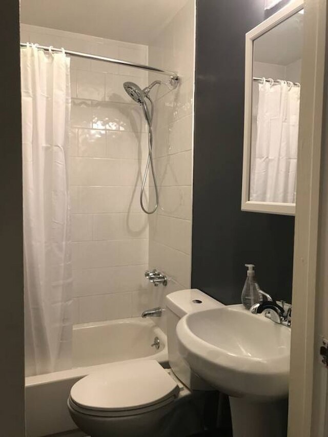 ベスト オブ ブルックリン ファスト インターネット デスク ペッツ オーケー 2FL