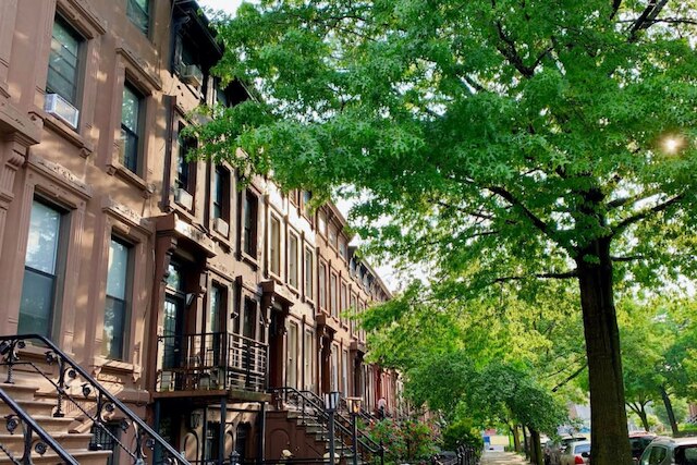 ベスト オブ ブルックリン ファスト インターネット デスク ペッツ オーケー 2FL