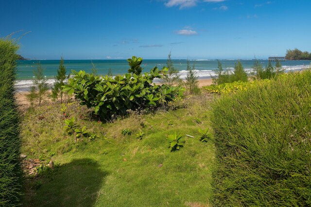 ハナレイ ベイ ハレ イン ハナレイ