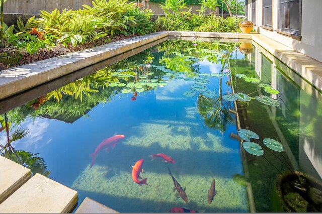 イケナ ラニ イン キラウエア