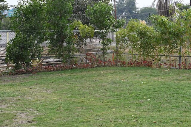 マッドステイズ ザ チャンディーガル ハウス, ボーパール