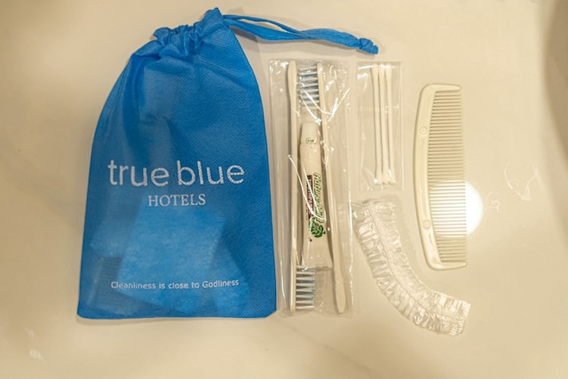 トゥルー ブルー メンテン ジャカルタ