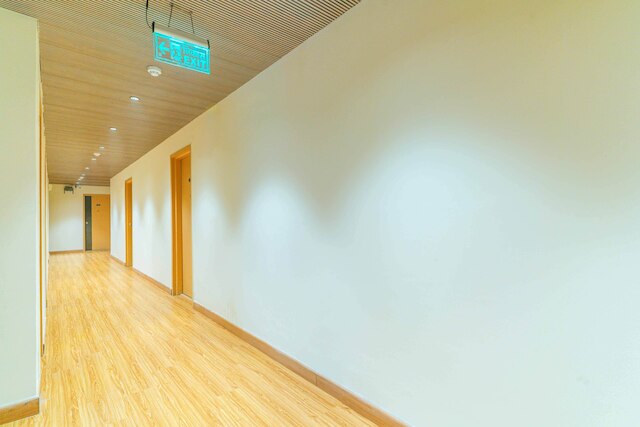 ツリーボ エース ラックス