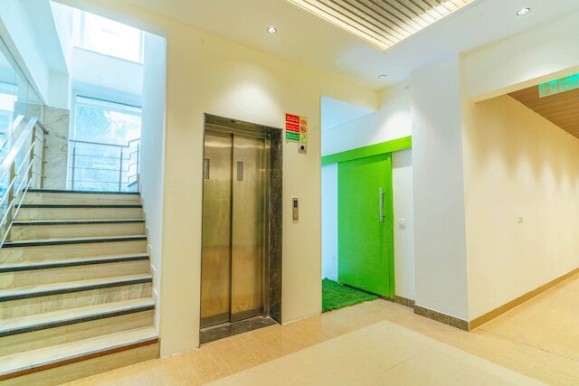 ツリーボ エース ラックス