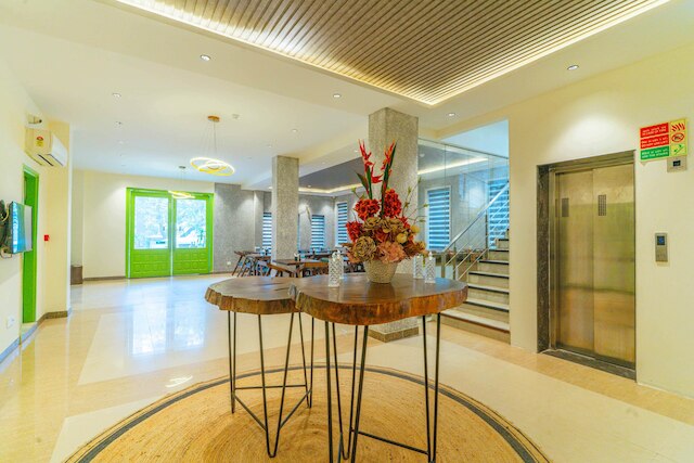 ツリーボ エース ラックス