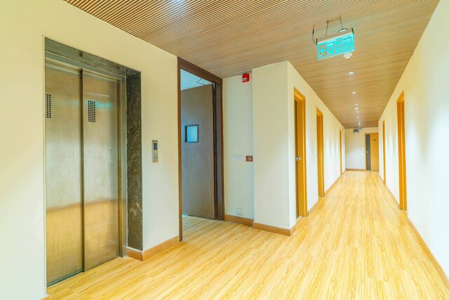 ツリーボ エース ラックス