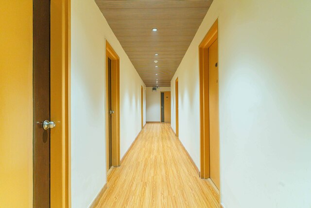 ツリーボ エース ラックス