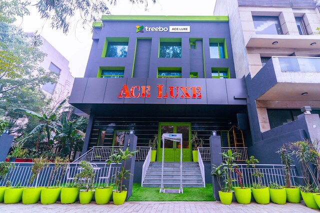 ツリーボ エース ラックス