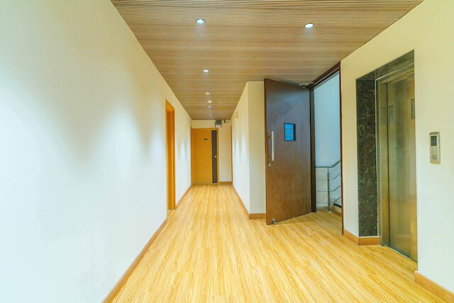 ツリーボ エース ラックス