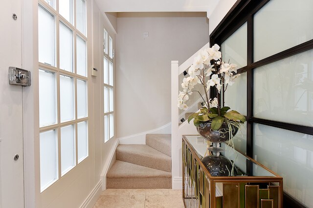 スタンホープ ミューズ エクスクルーシブ - 1smw