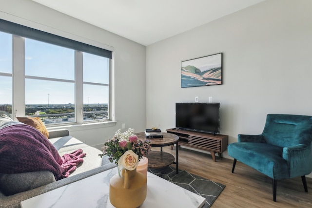 インディー ディープ エラム