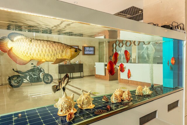 ホテル スタジアム