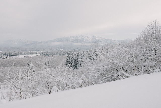 Snow Peak FIELD SUITE SPA HEADQUARTERS