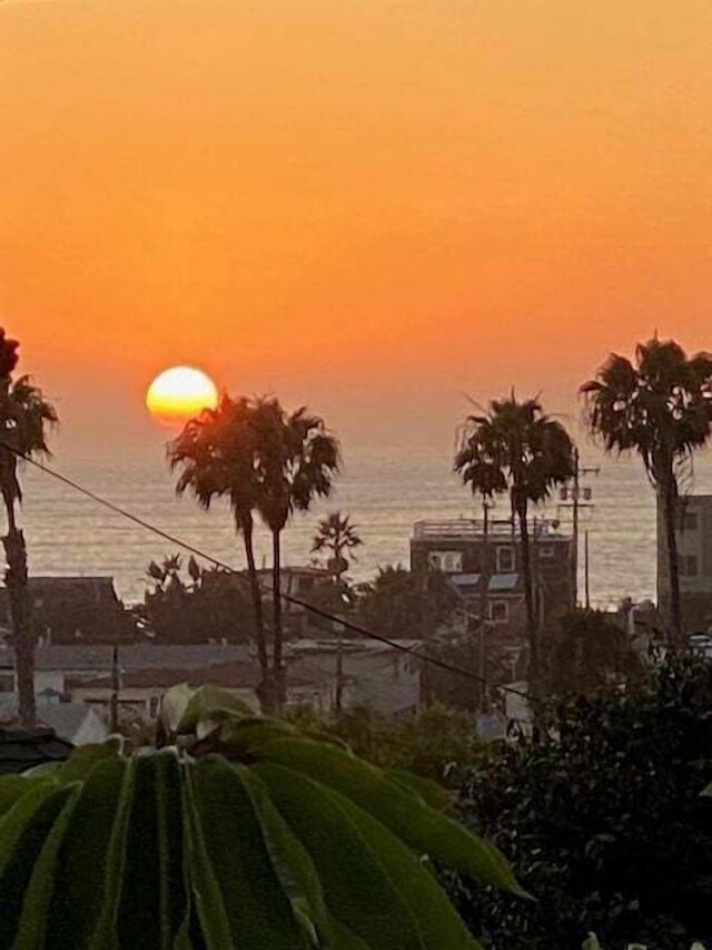 コーラル コテージ