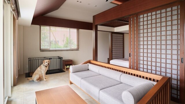 ADVENTURES ISLAND KOYARUZAWA LODGE