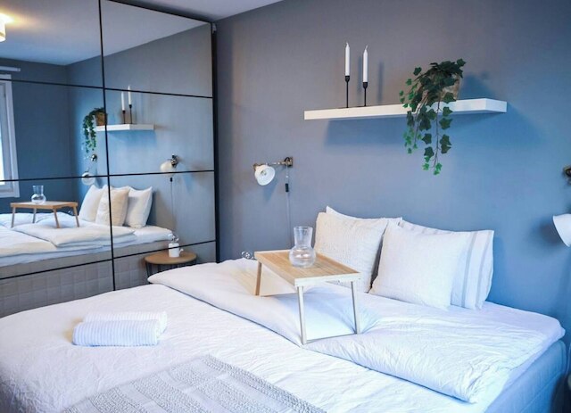 スペーシャス アパートメント ライト イン ザ シティ センター