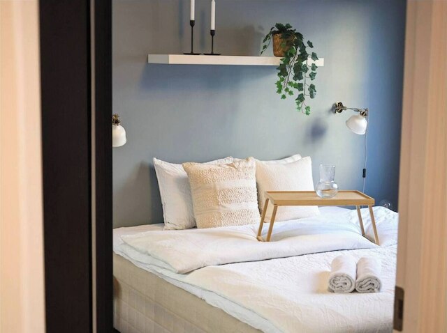 スペーシャス アパートメント ライト イン ザ シティ センター