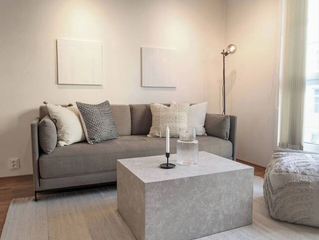 スペーシャス アパートメント ライト イン ザ シティ センター