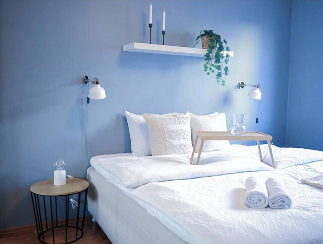 スペーシャス アパートメント ライト イン ザ シティ センター