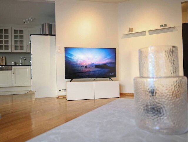 スペーシャス アパートメント ライト イン ザ シティ センター