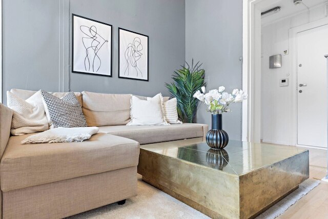 ビッグ アンド ブライト アパートメント イン ザ センター