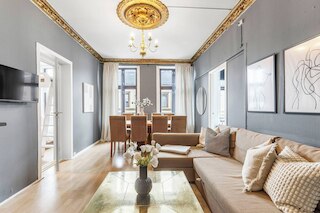 ビッグ アンド ブライト アパートメント イン ザ センター