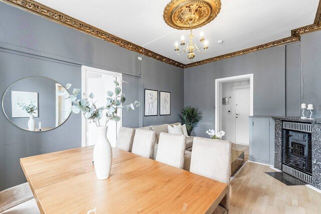 ビッグ アンド ブライト アパートメント イン ザ センター