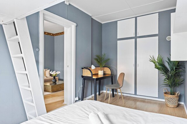 ビッグ アンド ブライト アパートメント イン ザ センター