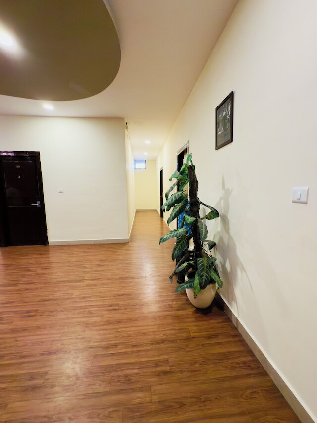 ホテル ニュー ブルー ロックス