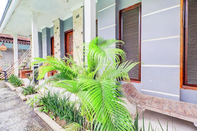 コレクション O サヌール ニア バリ エキゾチック マリン パーク