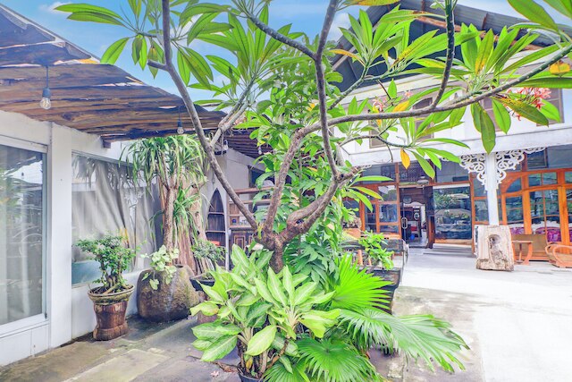 コレクション O サヌール ニア バリ エキゾチック マリン パーク