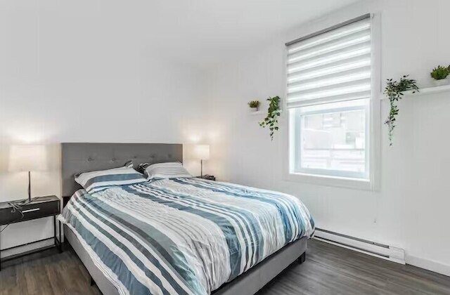 プラザ アパートメンツ