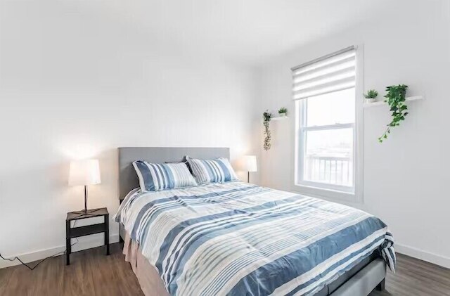 プラザ アパートメンツ