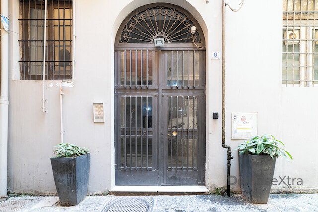 タランテラ バイ ドムスエクストラ