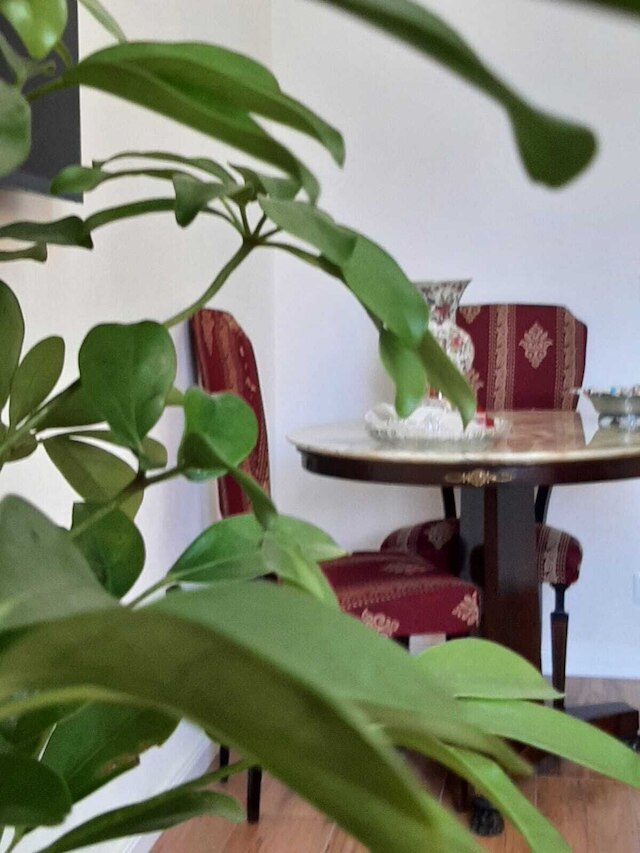 オーロラ センター シティ