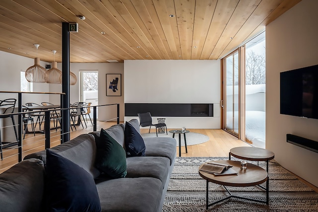 Silver Dream by H2 Life