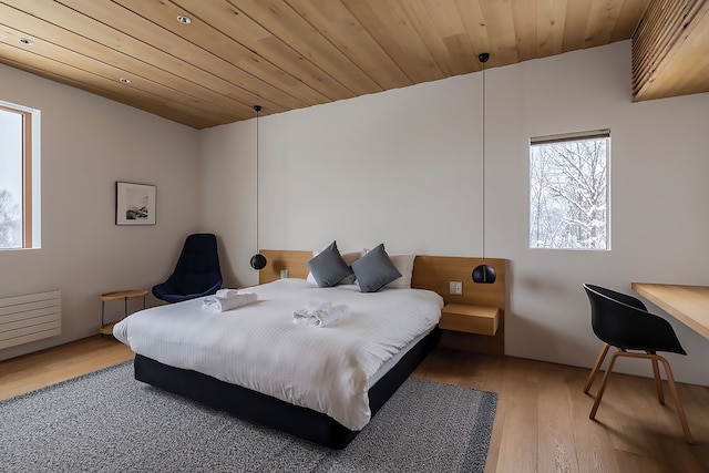 Silver Dream by H2 Life