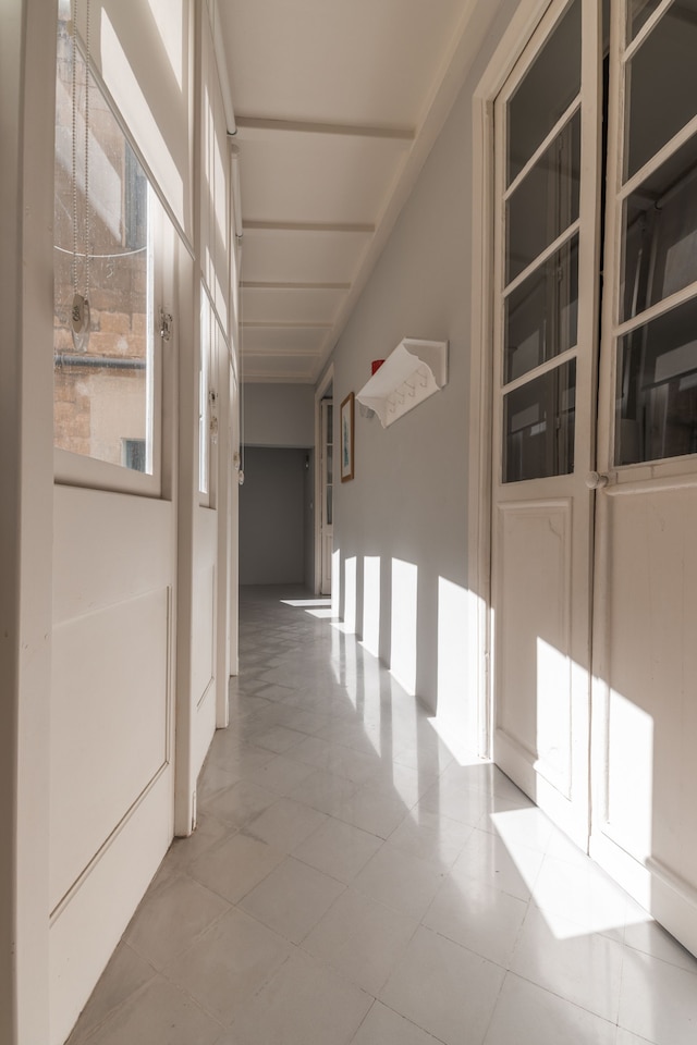 チャーミング スペーシャス 3 ベッドルーム アパートメント