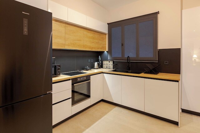 フェードラス リビング メツォヴォウ レジデンス