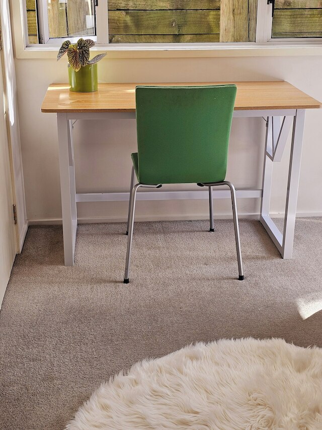 リリーパッド オブ スリー キングス