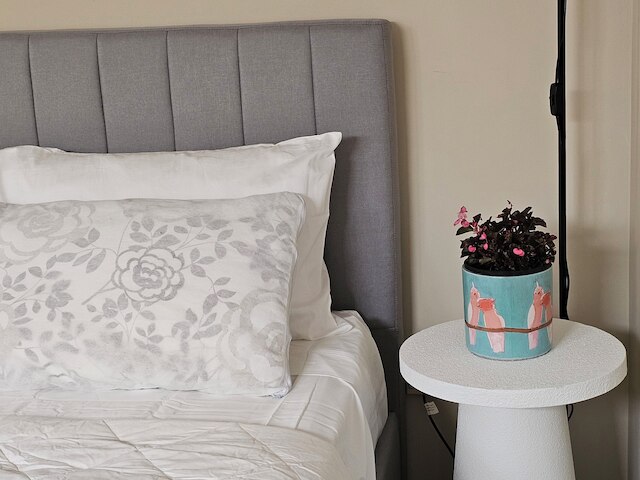 リリーパッド オブ スリー キングス