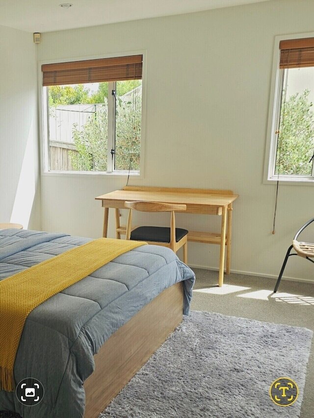 リリーパッド オブ スリー キングス