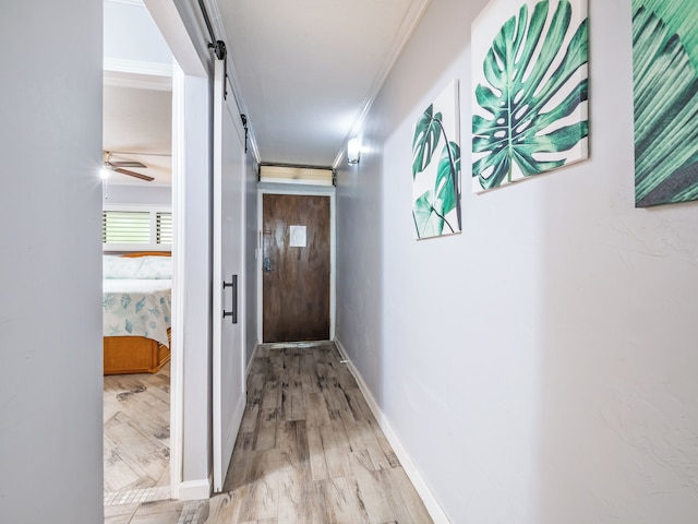 カラニカイ 118 ハイリー ウォーカブル!