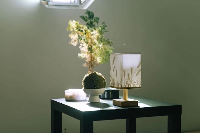 Shi San Du Fu Qing Nian Lv She