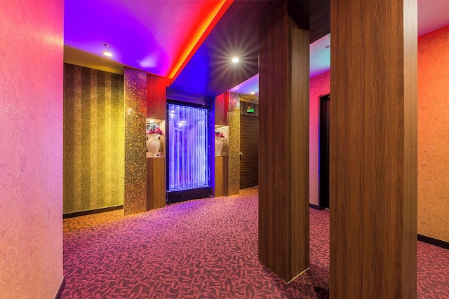 ドンキーズジャングル