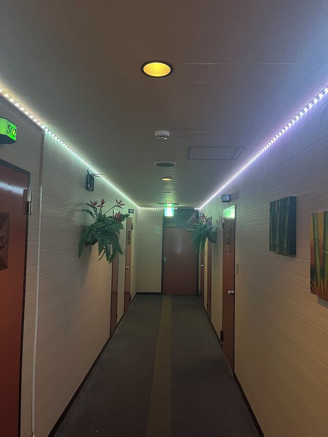 ドンキーズジャングル