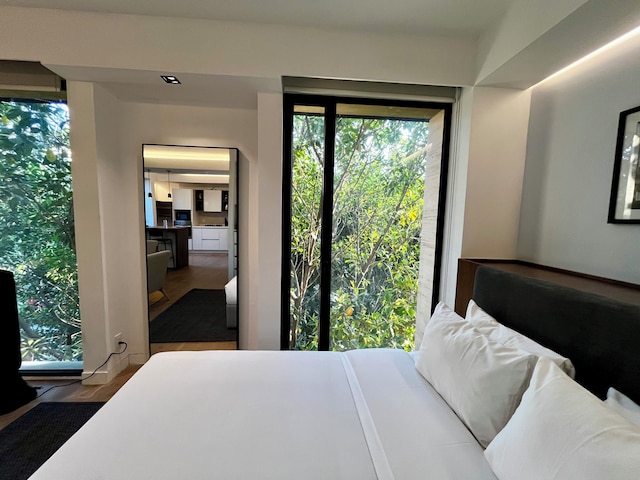 ザカテカス 502 バイ ウィンウッド ハウス