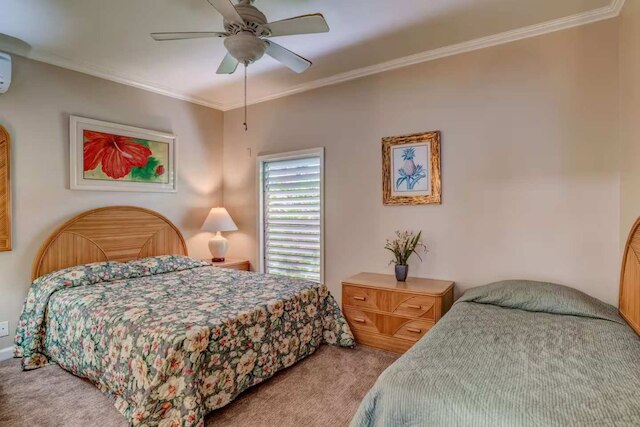 ホエール ウォッチング フロム アーティスト インスパイアード リトリート 2 オーシャンフロント ラナイズ エアコン